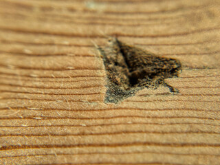 Wood Texture With Hole
