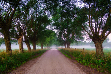 Łąki w porannym świetle z delikatną mgłą, Podlasie, Polska