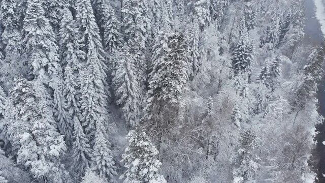 Winter snow-covered landscape of mountain forest and river during snowfall. Aerial view of the devon forest
