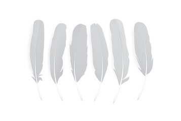 Realistic feathers isolated on white background. Birds plumage in abstract style. Isolated vector.