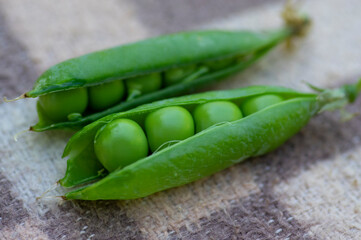 Pisum sativum pea green fruits in gree pods on brown background, tasty ripened sweet summer fruit, harvesting time