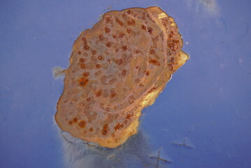 rust metal on a blue painted surface