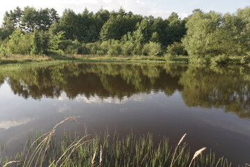Fototapeta na wymiar view of a small lake