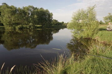 view of a small lake