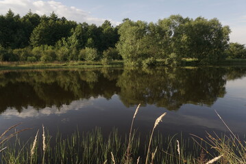 Fototapeta na wymiar view of a small lake