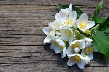 Garden jasmine or Philadelphus coronarius fresh flowers on old wooden background.Selective focus.