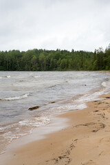 Sandy shore of the lake near the forest in Karelia