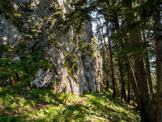 Grunten Guardian of the Allgau