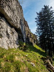 Grunten Guardian of the Allgau