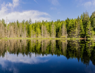 Fototapeta na wymiar beautiful small White lake surraunded by tall forest in british columbia Canada.