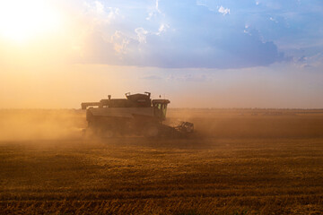 Fototapeta premium combines on the field harvest wheat, agriculture, Russian fields