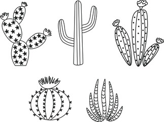 Cactus vector illustration