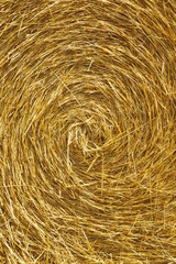 straw bale background