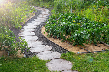 Stone path winding in vegetable garden