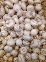 Lots of champignon mushrooms