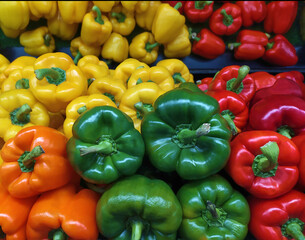 Red, yellow, orange and green bell peppers on a counte