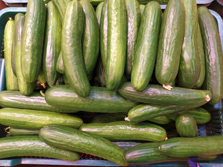 box of green long cucumbers