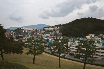 Trees on the hill, city of Busan South Korea.