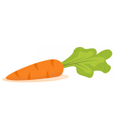 Carrot icon on a white background.