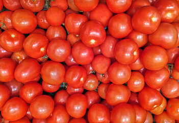 A lot of red tomatoes