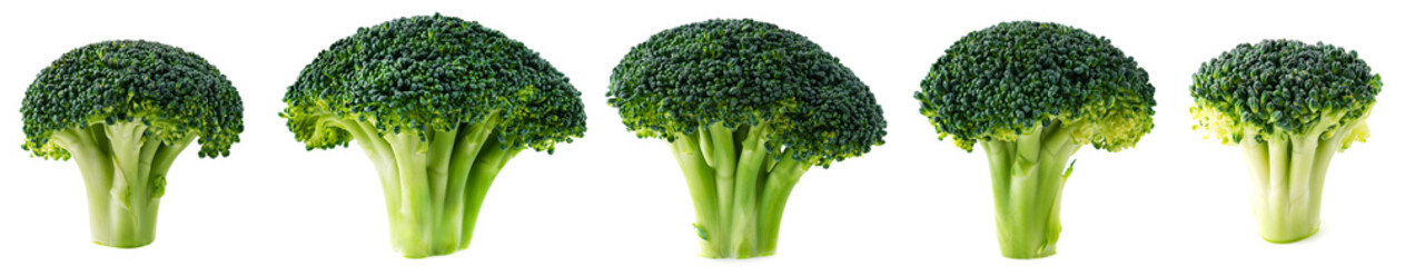 set green broccoli isolated on white background