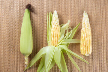 Green corn arranged on a straw mat with white background. Top view.