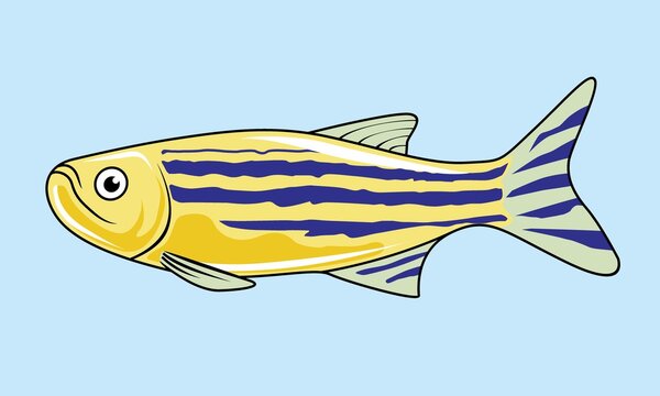 Zebrafish Cartoon Isolated Cute Fish Illustration