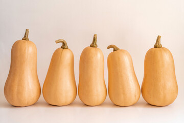 Pumpkins on white background. Autumn vegetables.