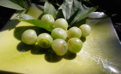 Mutation, White Blueberries