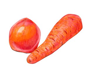 Food illustration with tomato and carrot.