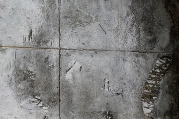 Chão cinza de concreto molhado pela chuva. Cimento molhado pela água.  textura áspera abstrata. quatro divisões no chão