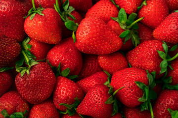 fresh natural ripe strawberries in bulk top view