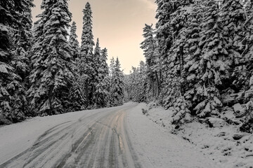 Obraz premium Snow-covered forest air of the mountains, snow, sea and stream coast