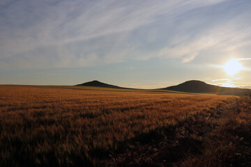 Obraz premium Hills