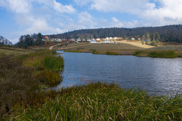 Scenic aerial view of a winding trekking path in a forest. Trekking path in the forest from above, drone view. Aerial view of footpath in forest.
