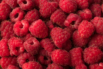fresh natural ripe raspberries in a loose form top view