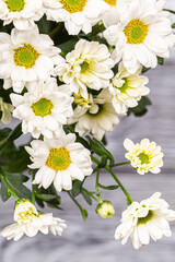 A bouquet of white bush chrysanthemums on a gray background.