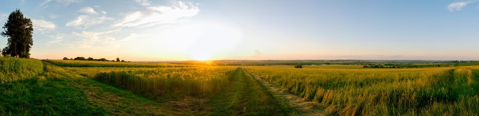 Obraz premium Summer sunset over wheat field. Beautiful sunset sky over countryside
