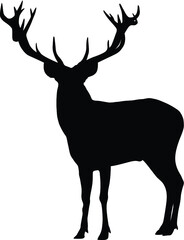 Deer Stag silhouette. - 364159975