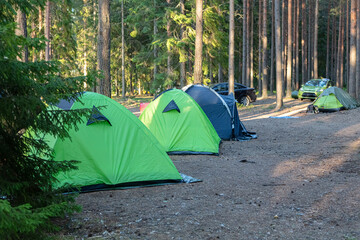 Tent town in the forest, summer vacation in nature. Scandinavia