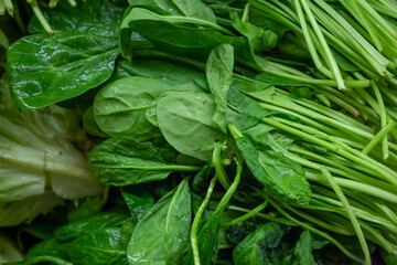 A view of several bunches of spinach at the grocery store.