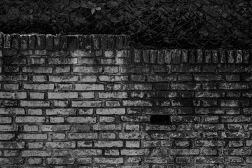 Wall brick texture - Muro de ladrillos
