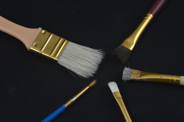 Paint brush star fish on a black background