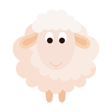 cute sheep animal on white background vector illustration design