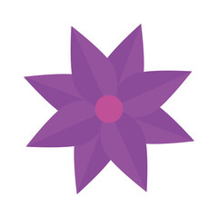 Obraz premium flower purple color, spring concept on white background vector illustration design