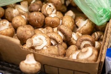 A view of a cardboard box filled with fresh cremini mushrooms, on display at a local grocery store.