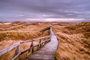 Fototapeta na wymiar Holzweg im Naturschutzgebiet auf Amrum. Nordseeküste, Dünen, Wanderweg, Wolken, Gewitterwolken 
