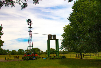 Campo con flores rosas y de dia 