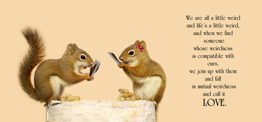 Inspirational quote on love with a cute pair of squirrels in love, playing cards for peanuts.