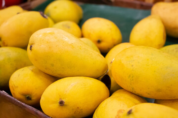 A view of a pile of mangoes, on display at a local grocery store.